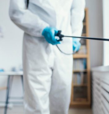 Montmélian sans rongeurs : les experts de la dératisation à votre service